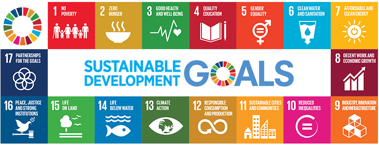 Sustainable Development International, SUSDEVI